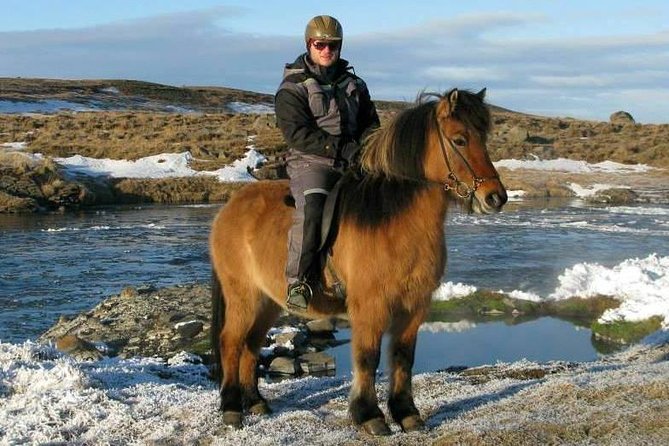 The Viking Horse Riding Experience in North Iceland - Additional Information