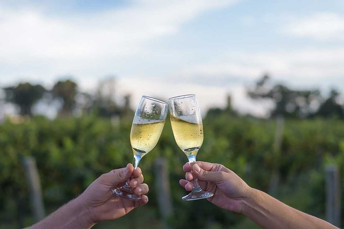The Wine Route From San Juan - Winery Visits and Tastings