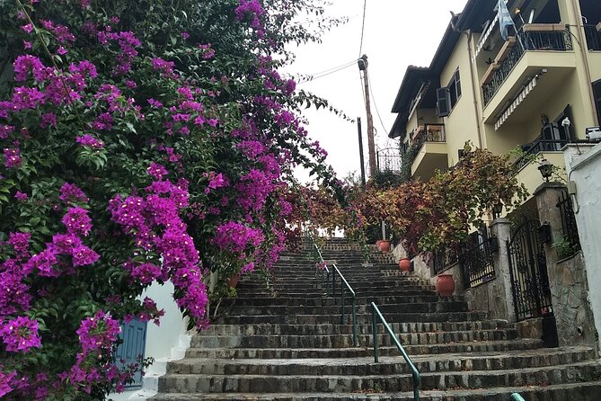 Thessaloniki Old Town Culture and Nature Herbal Walk - Discovering Local Plants