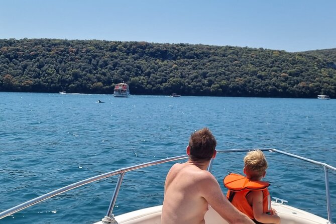Thrilling Dolphin Encounter: Vrsars Aquatic Safari - Accessibility and Participation