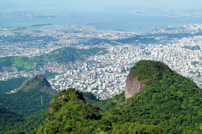 Tijuca Rainforest Hiking Tour in Rio De Janeiro - Traveler Reviews and Experiences