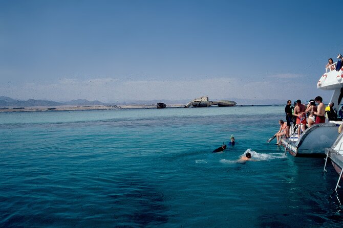 Tiran Island Full Day Snorkeling Sea Trip & Intro Dive 15 Min - Sharm El Sheikh - Feedback From Previous Guests
