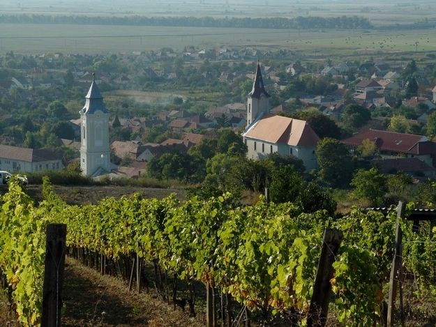 Tokaj and Sárospatak Private Day Tour From Budapest - Unique Wine Experience