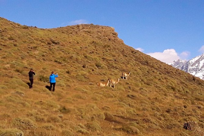 Torres Del Paine National Park - Diverse Landscapes and Activities