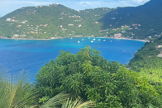 Tortola Private Beach Hopper Tour - Accessibility and Participation