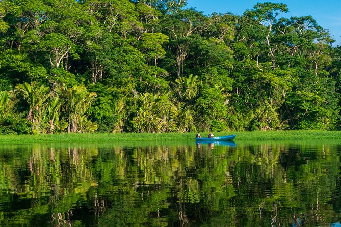 Tortuguero: Canoe Tour, Day Hike, Hill Tour, Night Tour or Spawning - Meeting Location