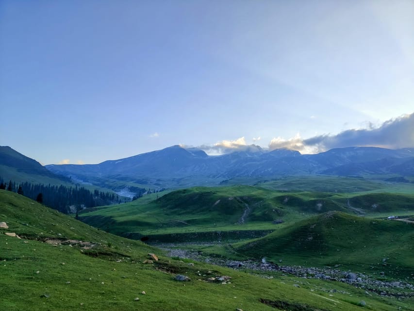 Tosa Maidan - The King of Meadows - Diverse Flora and Fauna