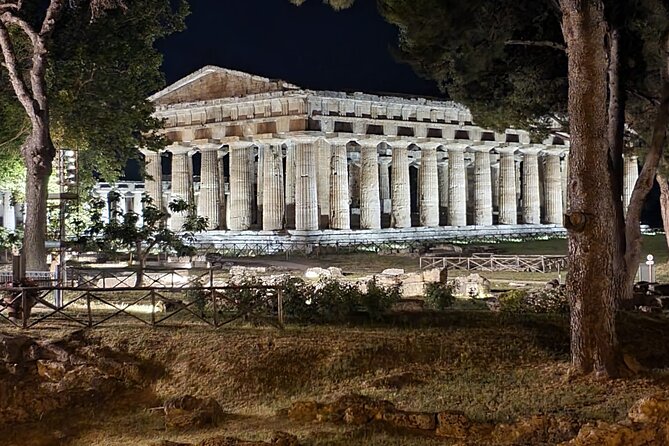 Tour at the Temples and the National Museum of Paestum - Guided Tour Experience and Inclusions