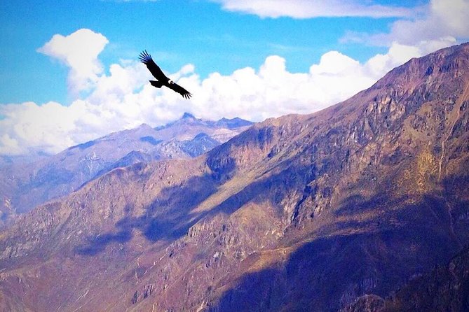 TOUR COLCA CANYON (FULL DAY) - Shared Service - Pickup and Meeting Details