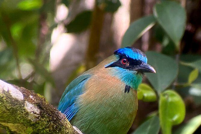 Tour in Monteverde Curi-Cancha Reserve - Meeting and End Points