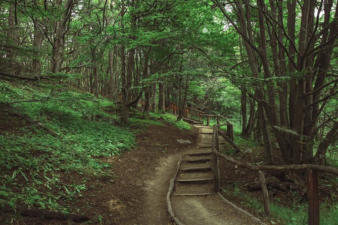 Tour in Tierra Del Fuego National Park With Trekking - Cancellation Policy and Flexibility