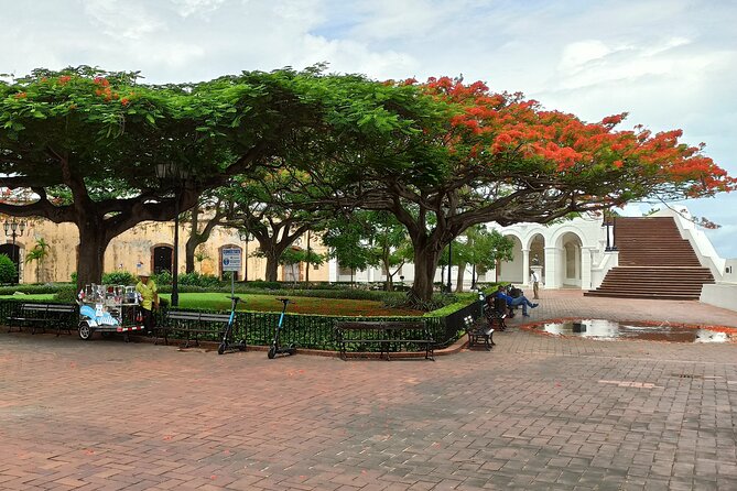 Tour of Panama City: From Its Origins to Today - Logistics and Practical Information