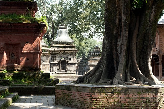 Tour of the Villages of Varanasi (Guided Sightseeing Tour by Car) - Cultural Interactions