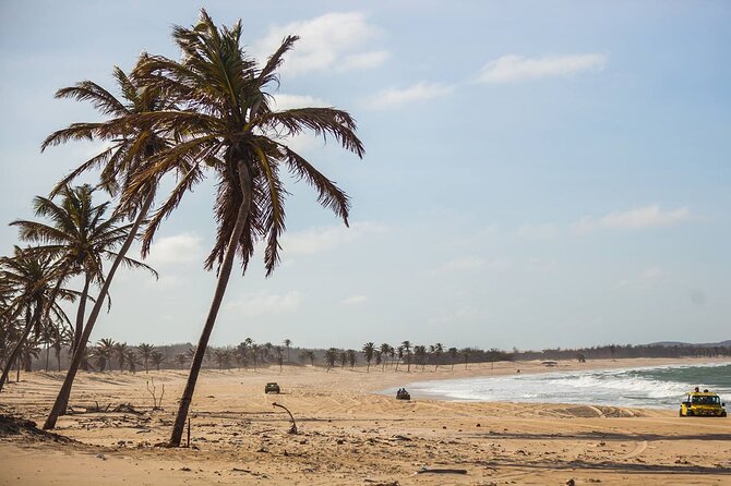 Tour to Cumbuco Beach - Guest Reviews