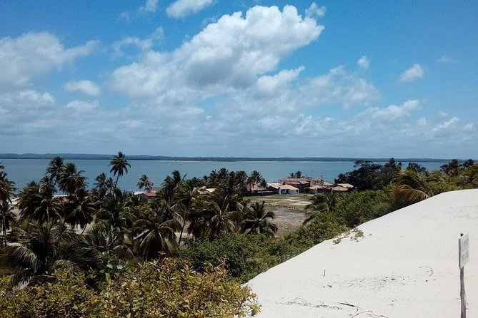 Tour to Mangue Seco, Leaving Salvador-Bahia - Dining and Amenities