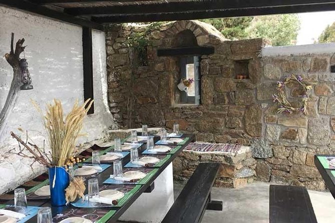 Traditional Barbecue Experience at Traditional Farm in Mykonos - Farm-to-Table Meal Preparation