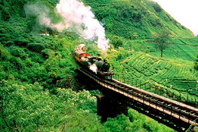 Train Tickets From Nanuoya (Nuwaraeliya) to Ella - Booking Process Explained