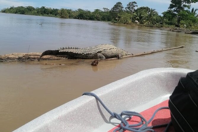 Transfer From Tortuguero to Moin by Boat - Route Information