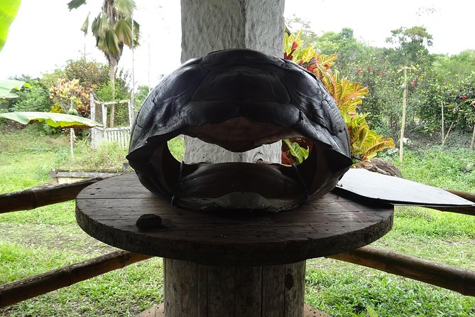 Transfer in + Visit to the Giant Turtle Nature Reserve - Pricing and Booking