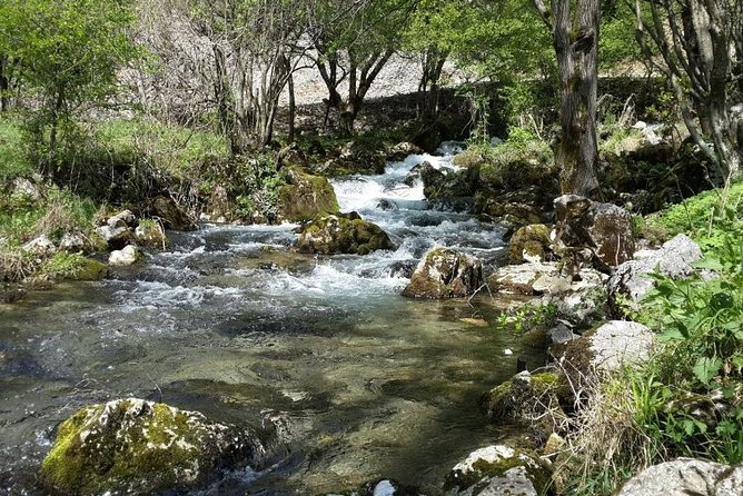 Treasures of Eastern Serbia Private Tour - Zdrelo Spa Experience