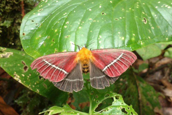 Trekking & Rivering Reserve Pericos - Inclusions and Pricing