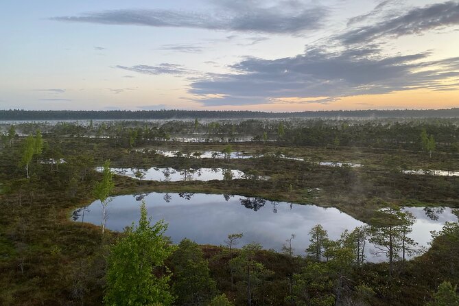 Trip to Kemeri National Park & Jurmala From Riga - Lunch and Local Cuisine