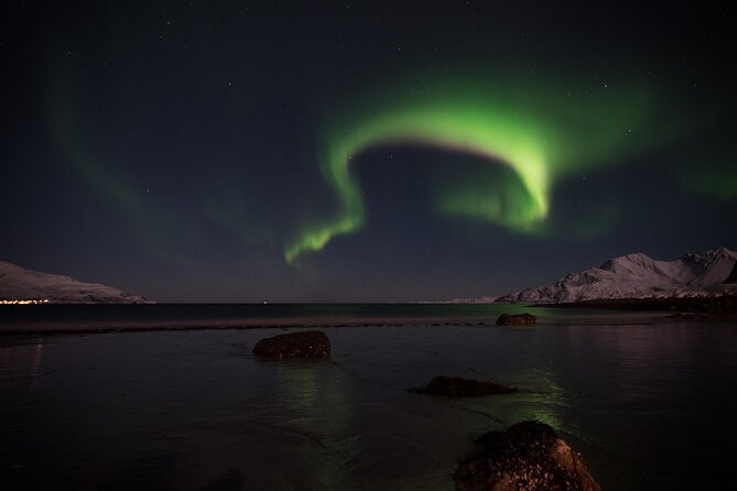 Tromsø Norway - Small Group Aurora Hunt Tour With a Local Guide - What to Expect