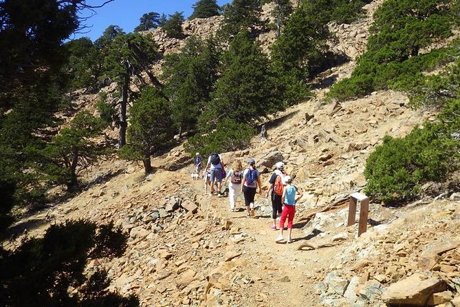 Troodos Walking Trip (Artemis +/Myllomeris Waterfalls) - Private From Nicosia - Health and Safety