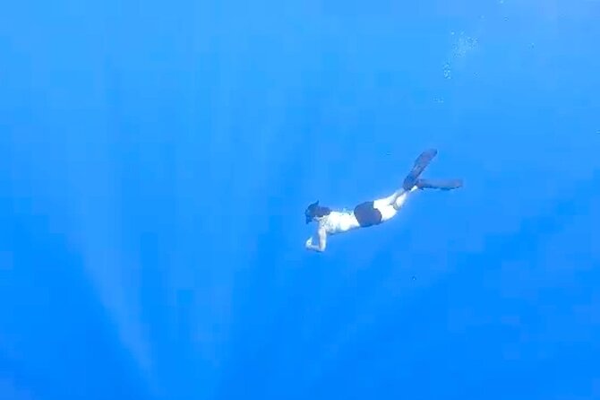 Tropical Reef & Wildlife Boat Snorkel Adventure - Health and Safety Considerations
