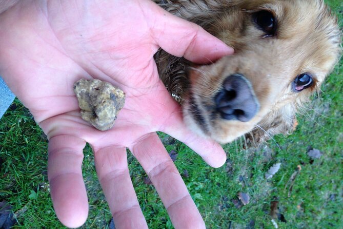 Truffle Hunting and Handmade Pasta Review - Practical Information