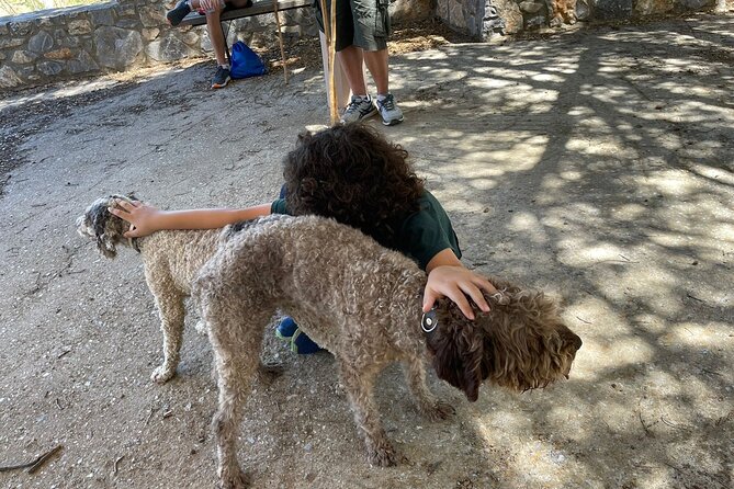 Truffle Hunting, Culinary & Wine Celebration From Heraklion - Meeting and Pickup Options