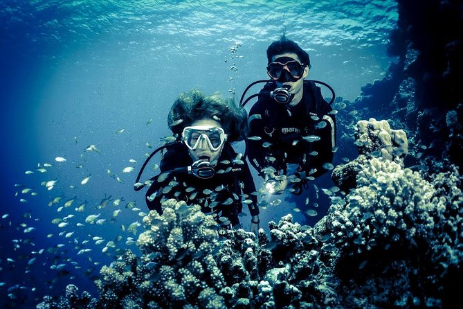Try Scuba Dive (Baptism of the Sea) - Meeting and Pickup Information