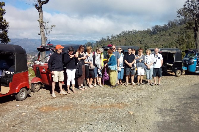 Tuk Tuk Safari and Picnic in the Tea Plantation From Ella,Haputale & Bandarawela - Pricing Information