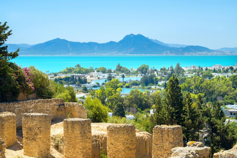 Tunis: Full-Day Sightseeing Tour With Lunch - Sidi-Bou-Said Delights