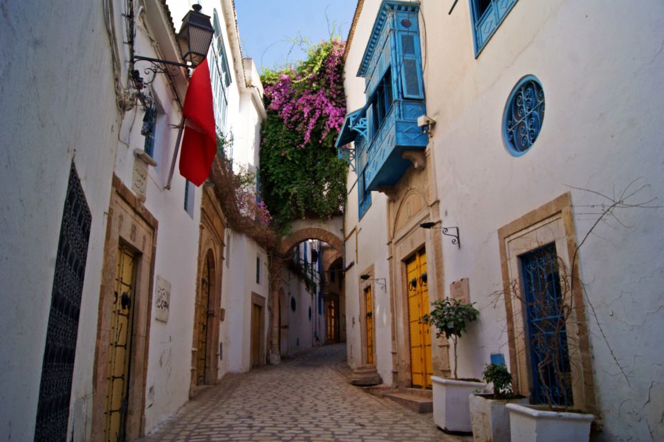 Tunis Port: Medina and City Tour for Cruise Ship Passengers - Tour Experience