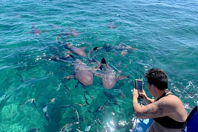 Turtle Garden Snorkeling Tour and Island Break - Guides and Local Insights