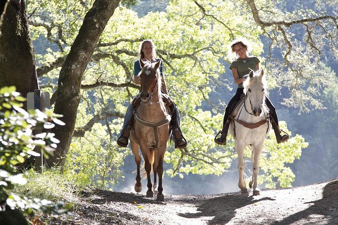 Tuscan Chianti Hills Horseback Riding Tour - Customer Feedback