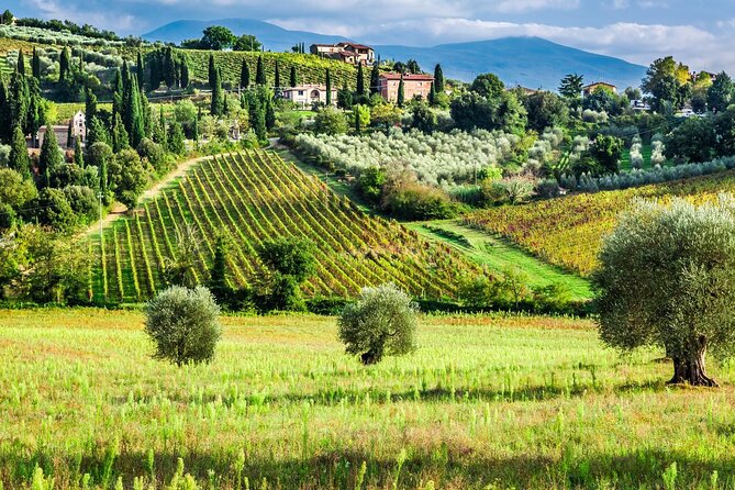 Tuscany Private Tour With Wine and Cheese Tasting From Florence - Inclusions and Exclusions