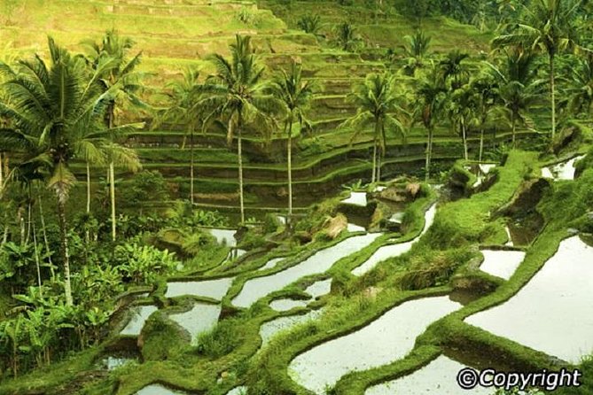 Ubud And Sunset Tanah Lot Tour - Inclusions and Exclusions