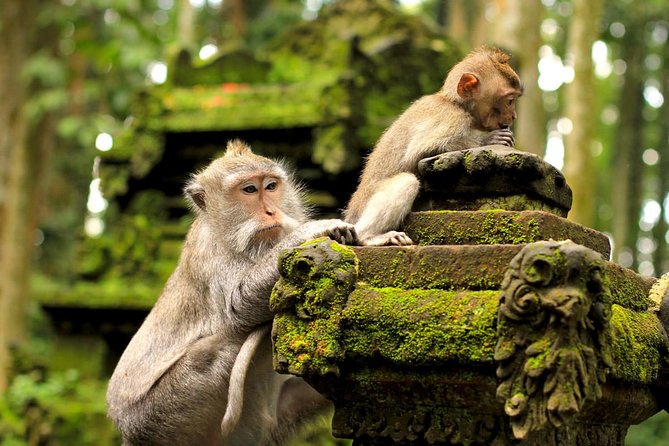 Ubud and Tanah Lot Tours - Inclusions and Benefits
