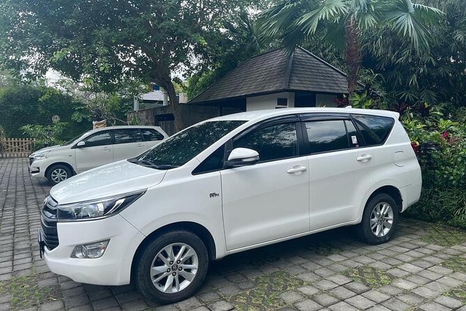 Ubud Cultural and Historical Guided Tour With Transfer - Customer Reviews