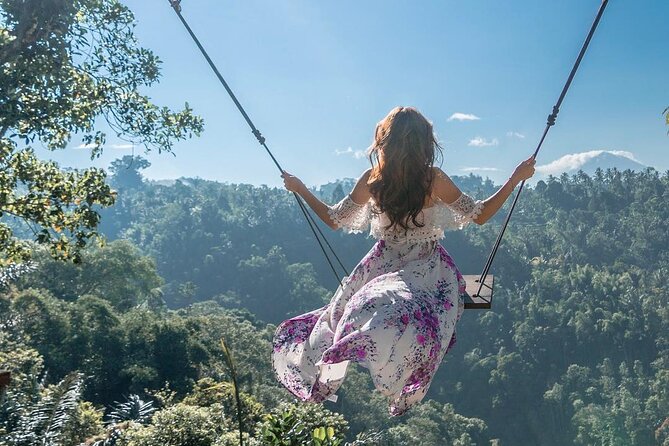 Ubud Private Full-Day Tour - What to Expect on the Tour