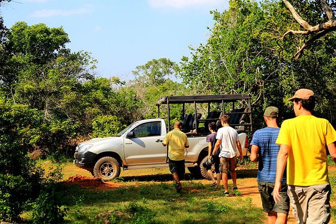Udawalawa National Park & Orphanage Visit From Hambantota Port - Visitor Feedback