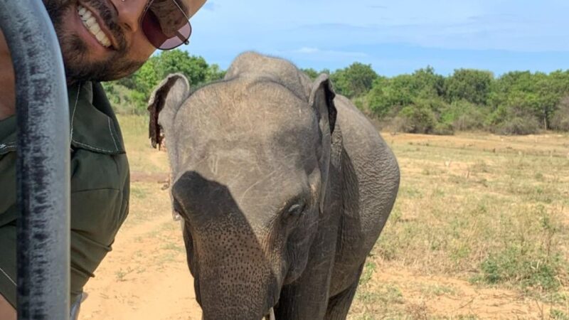 Udawalawe National Park Wildlife Safari From Hambantota - Itinerary and Activities