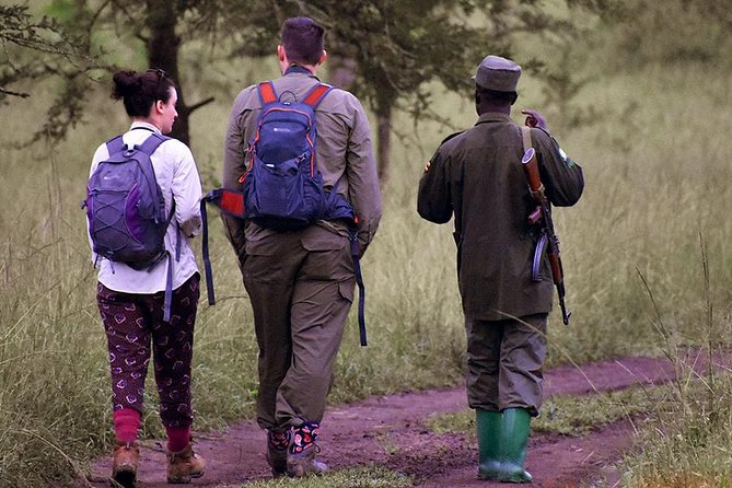 Uganda Gorillas and Game Safari - 10 Days - Gorilla Trekking in Bwindi