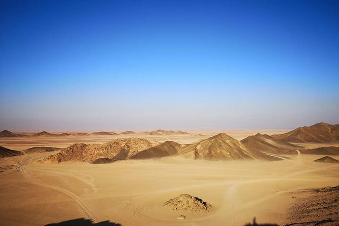 Ultimate Desert Experience - Scenic Camel Riding Experience