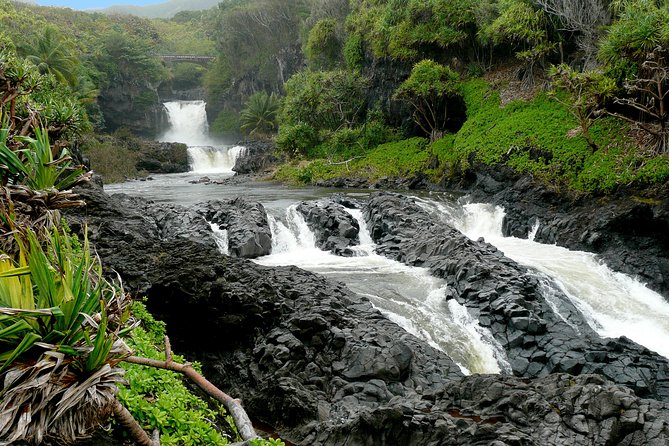Ultimate Hana Full-Day Adventure Tour - Safety and Health Guidelines