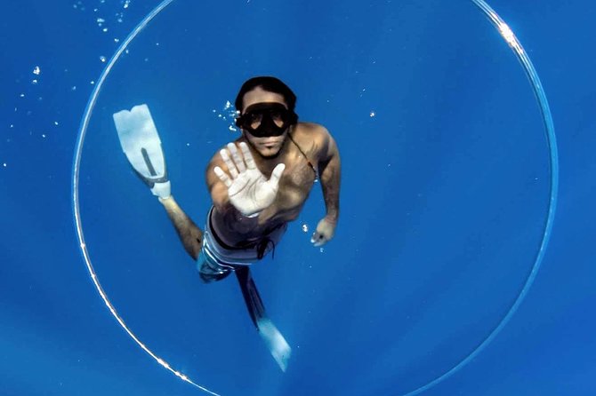 Ultimate Ocean Encounters Midday Snorkel - Customer Feedback Insights