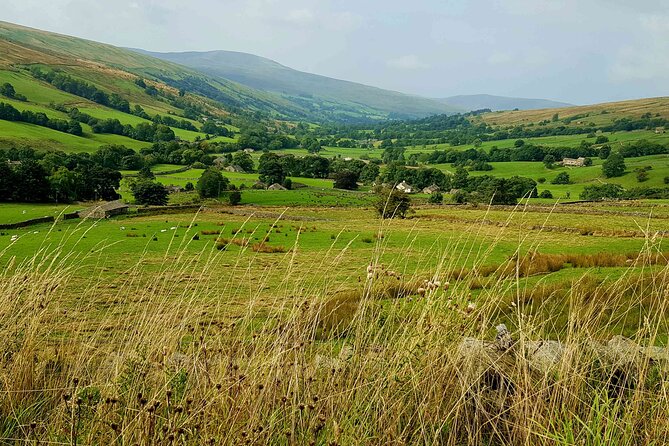 Ultimate Yorkshire Dales Tour - Magnificent Views - Photo Stops - Expert Guide - Accessibility and Policies