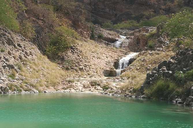 Uncover Wonders of East Salalah-Full Day Guided Tour - Encounter Rare Baobab Trees in Hinnah Valley
